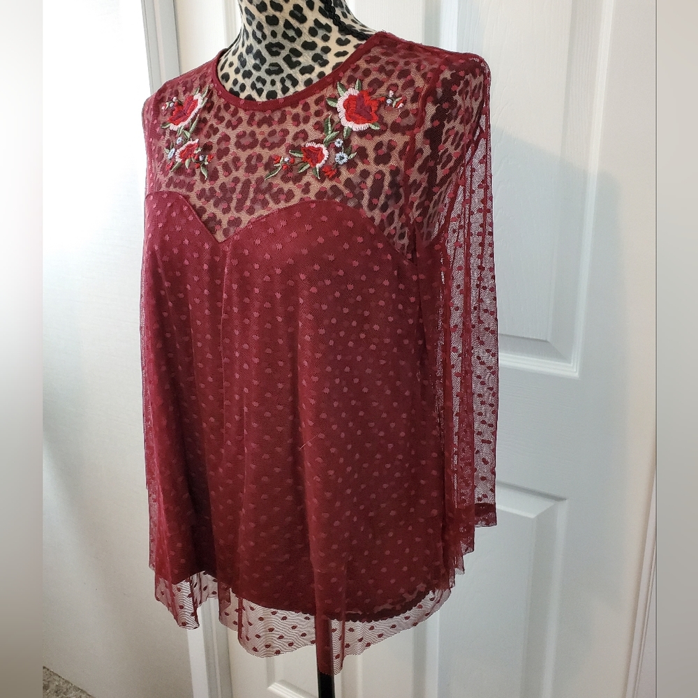 Crave Fame Embroidered Semi-Sheer Top - Picture 3 of 11